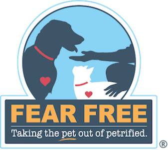 Fear Free