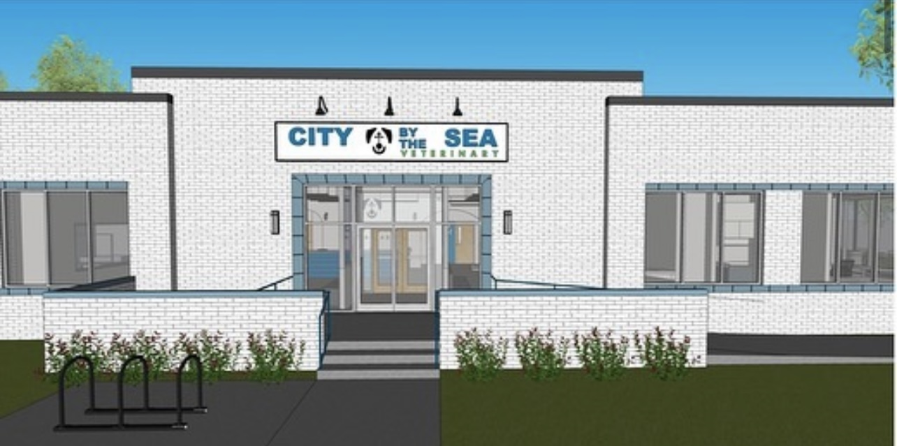 City by the Sea Veterinary