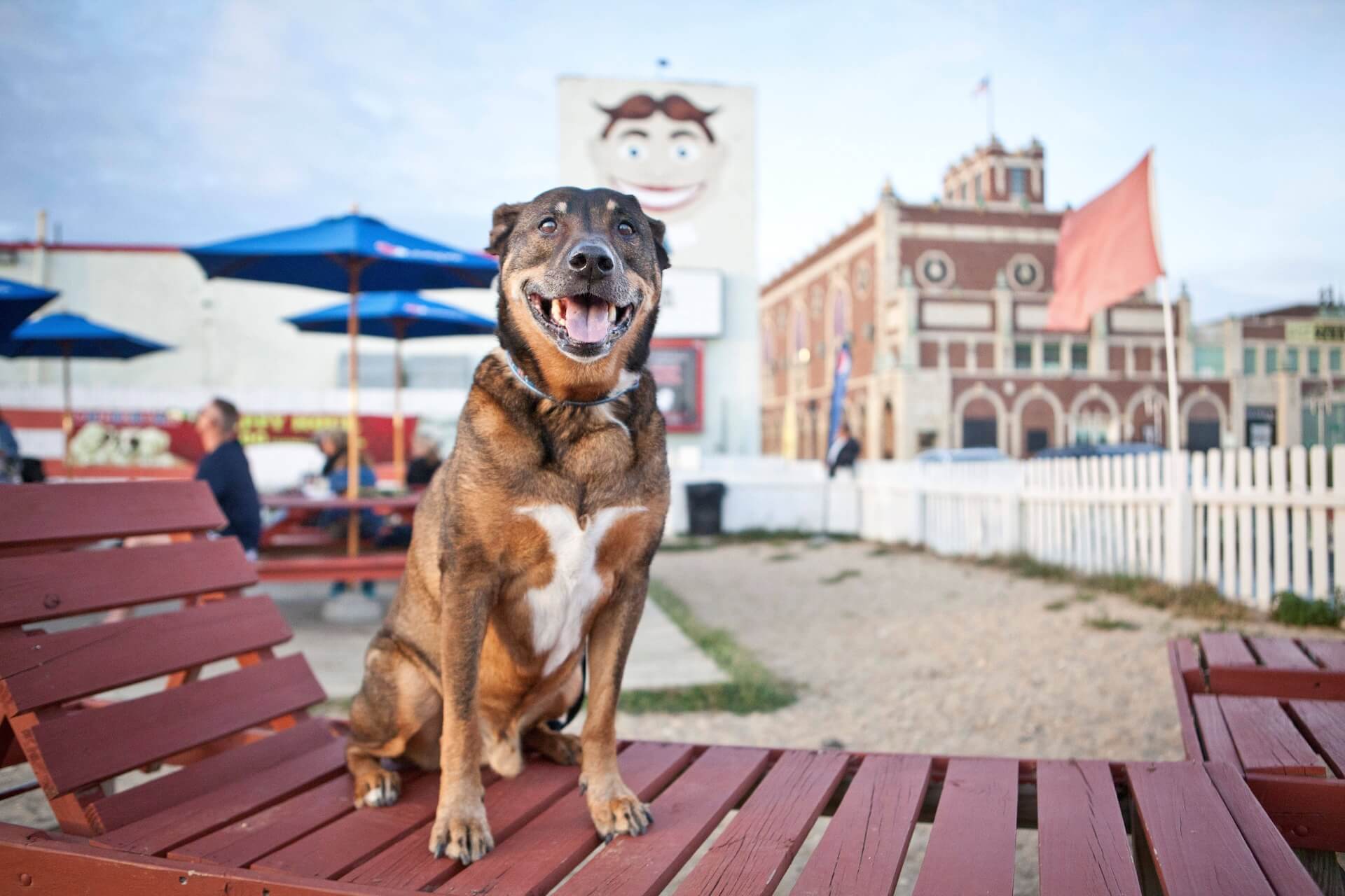 otis2013_16.jpg