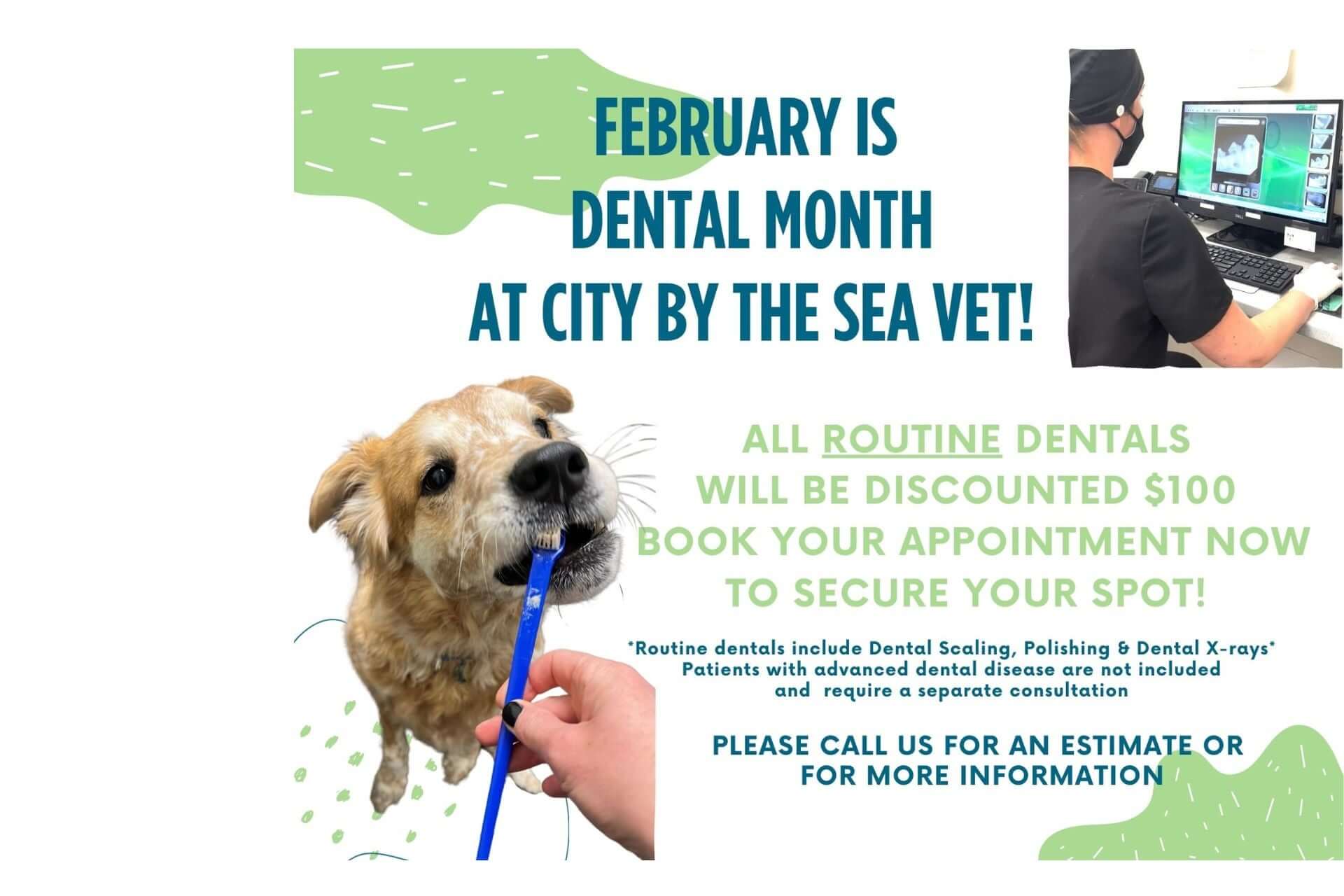 Veterinary Clinic in Asbury Park Slider