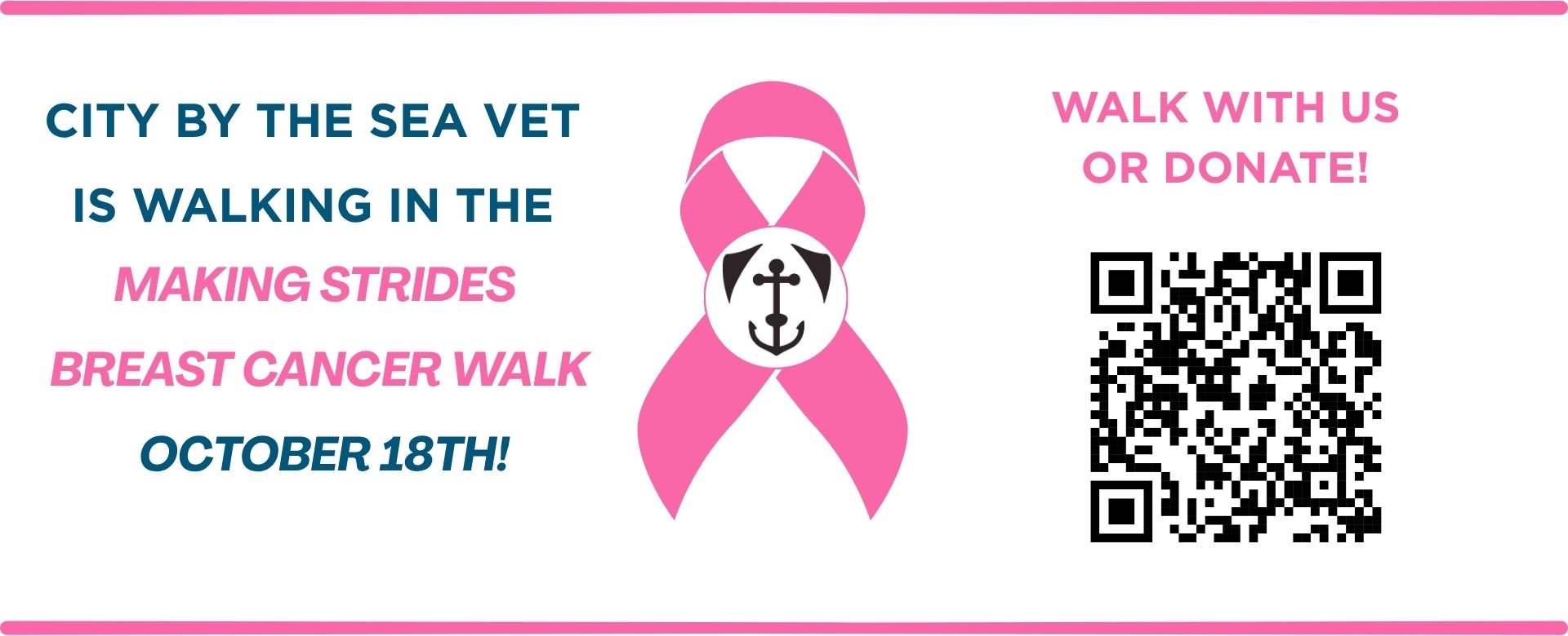 Making Strides Breast Cancer Walk