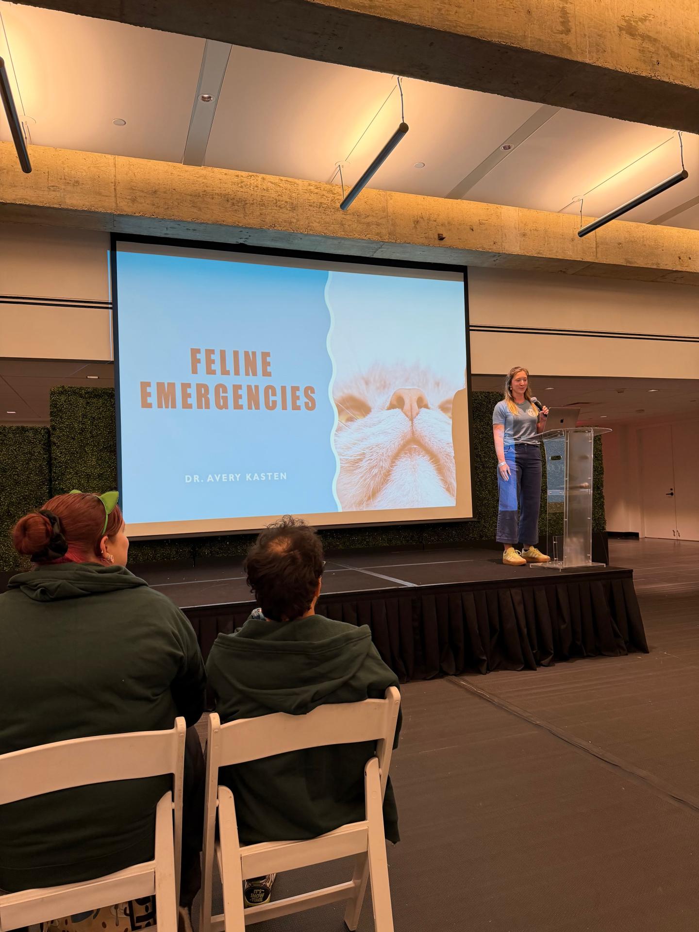 Doctors speaking at Catsbury Convention