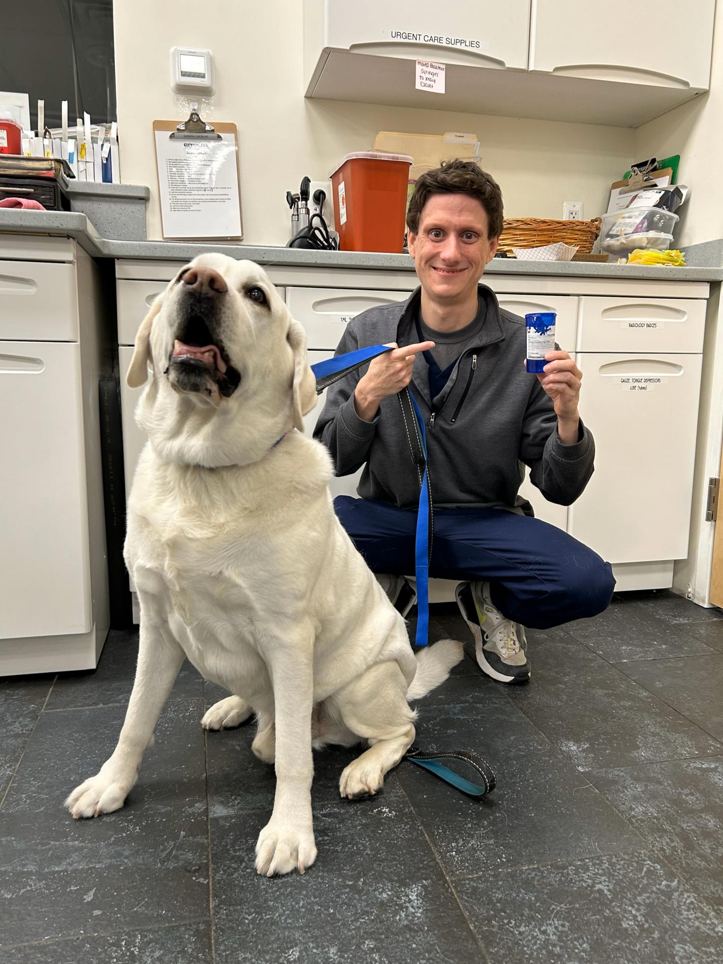 Yellow lab sitting with a veterinarian 