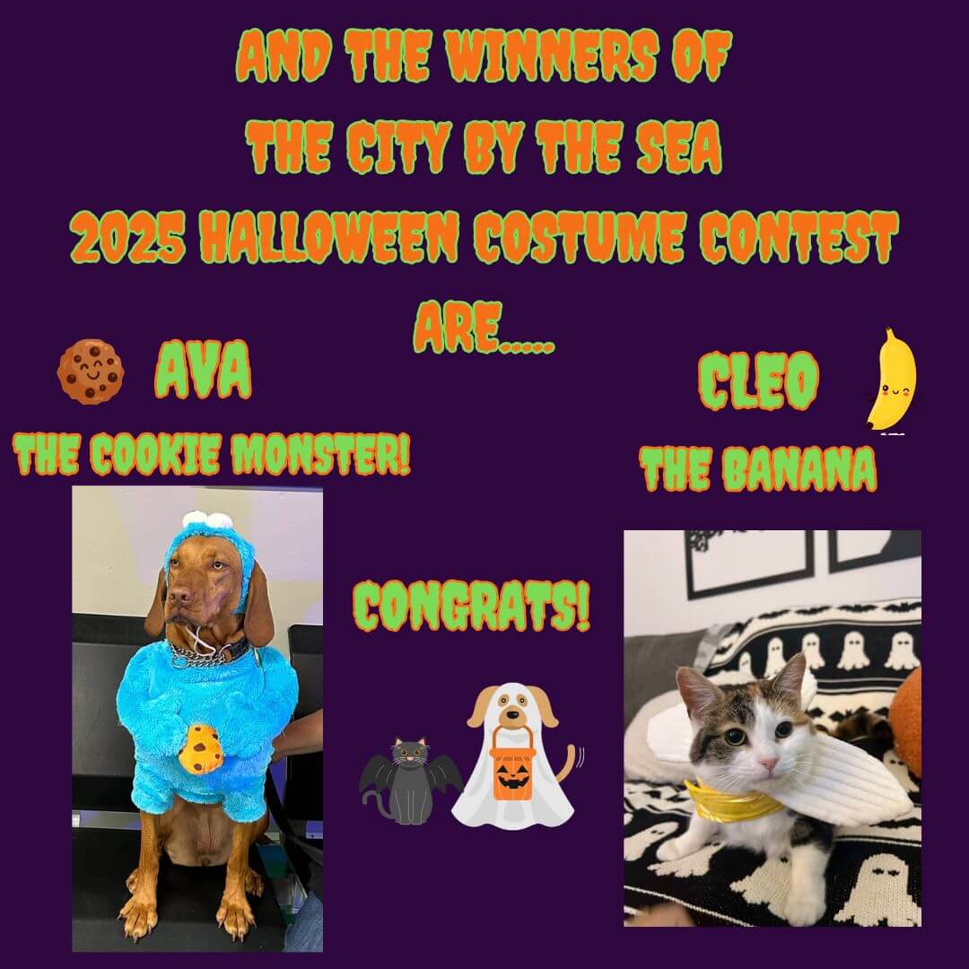 Halloween Costume Contest October 2025 | City By The Sea Veterinary ...