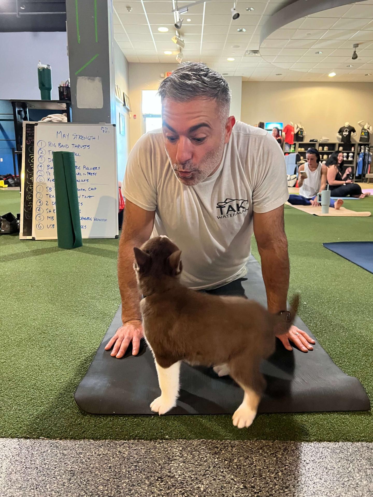 Puppy Yoga