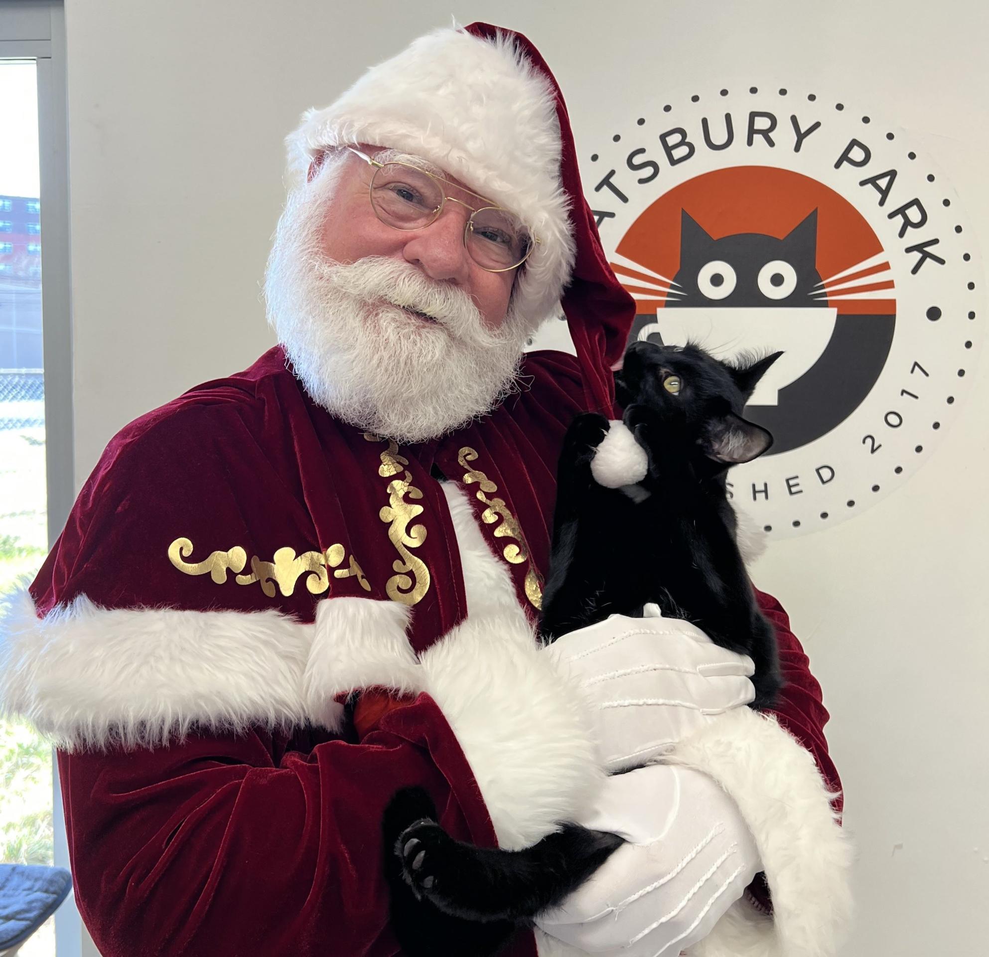 Pictures with Santa