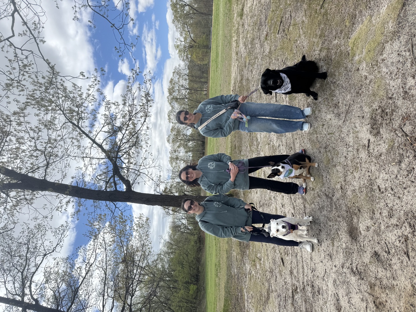 MSPCA Dog Walk