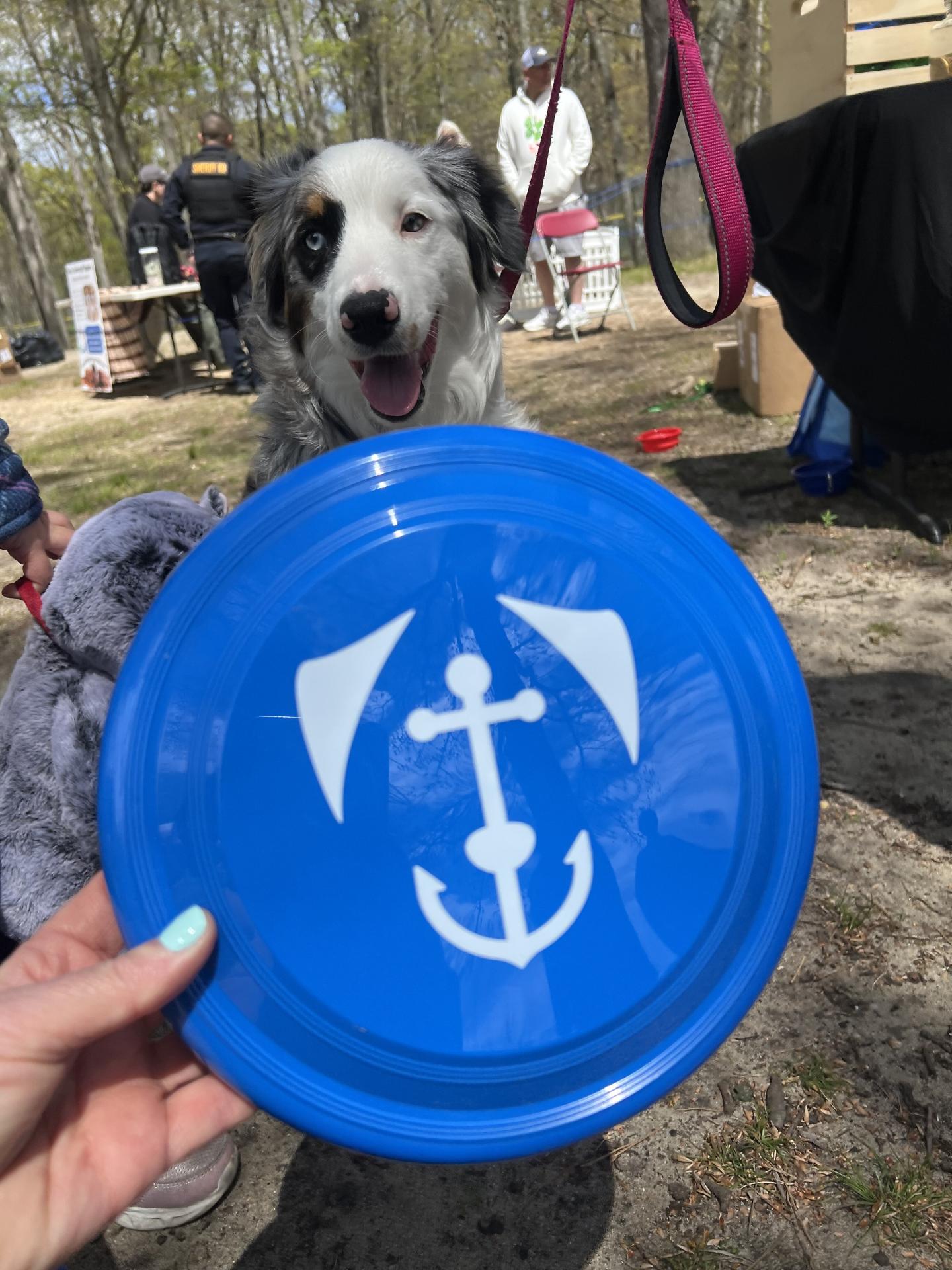 MSPCA Dog Walk