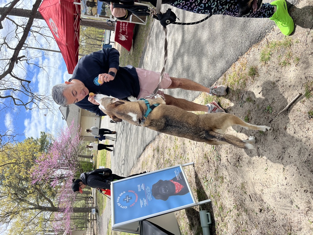 MSPCA Dog Walk