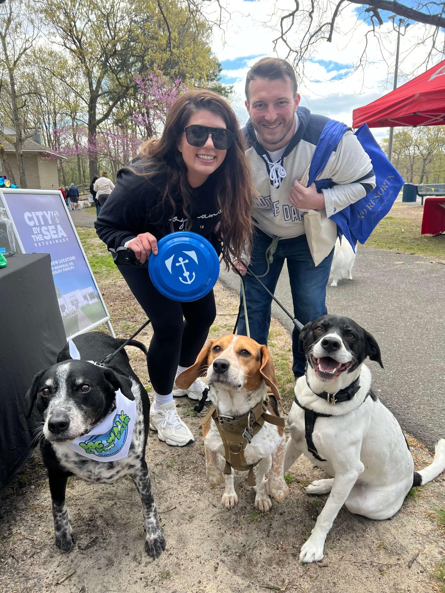 MSPCA Dog Walk