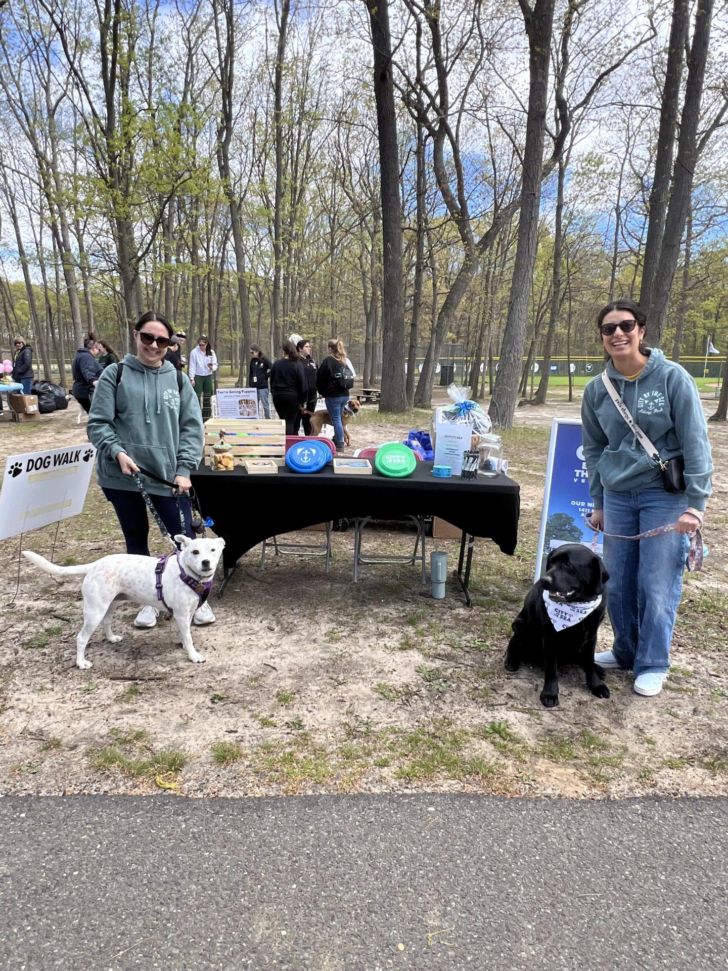 MSPCA Dog Walk