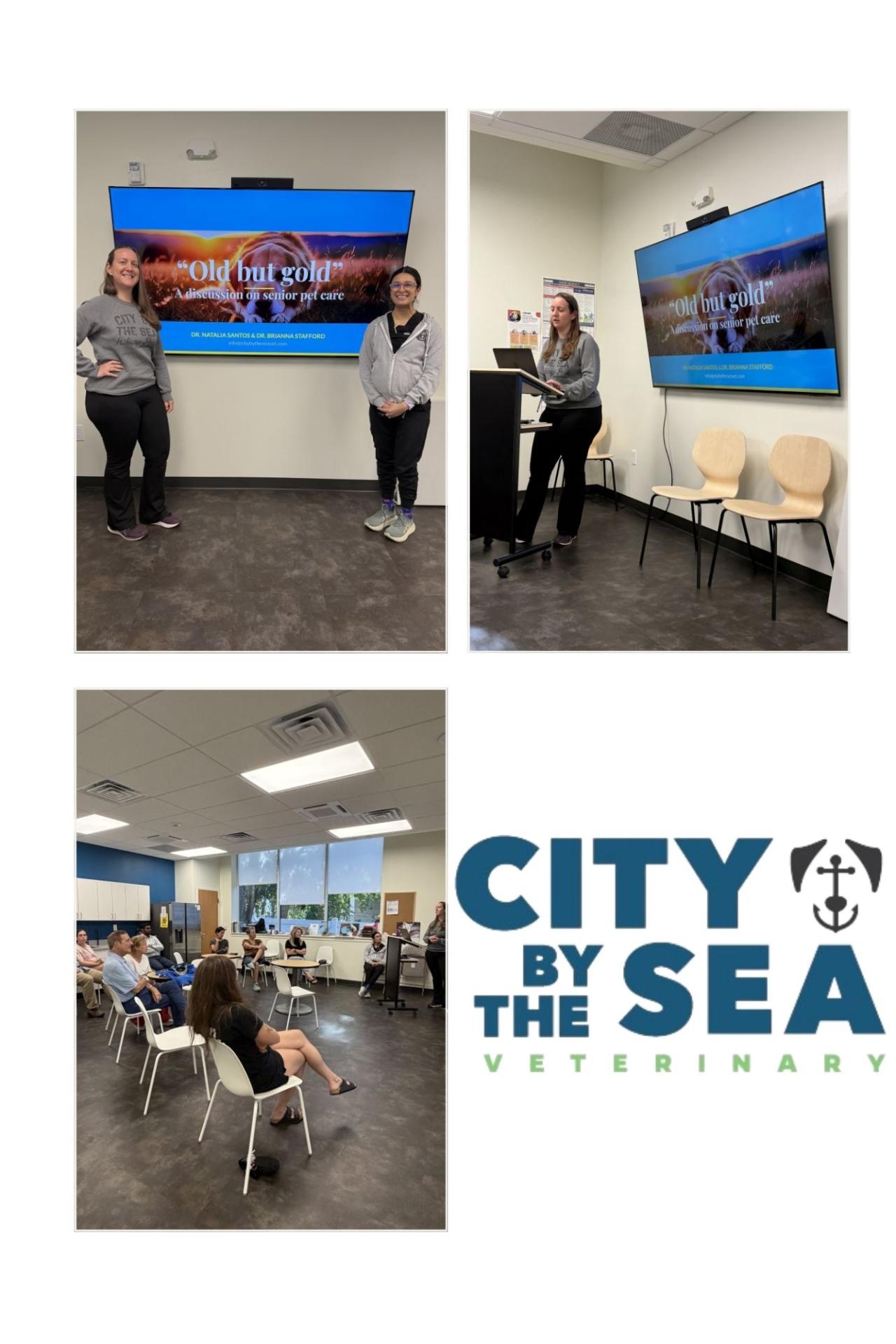 Old But Gold lecture presented by City by the Sea Veterinary Old But Gold lecture- How to support our aging pets so they continue to have a wonderful quality of life with you!
