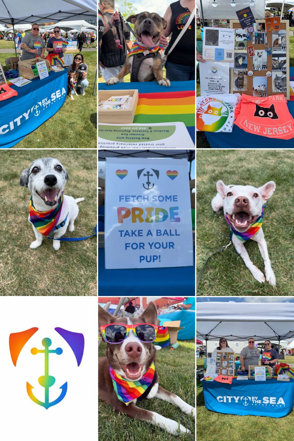Pride Fest 2026 Asbury Pride Fest, 2026 participant, City by the Sea Vet