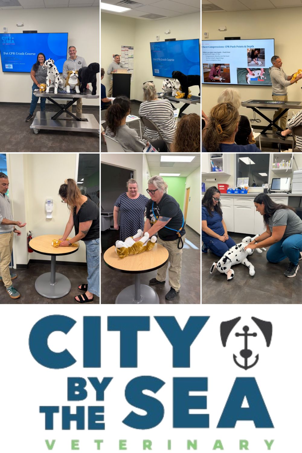 Pet CPR course hosted by City by the Sea Vet and presented by Dr. Tom Caltabilota Pet CPR course hosted by City by the Sea Vet and presented by Dr. Tom Caltabilota