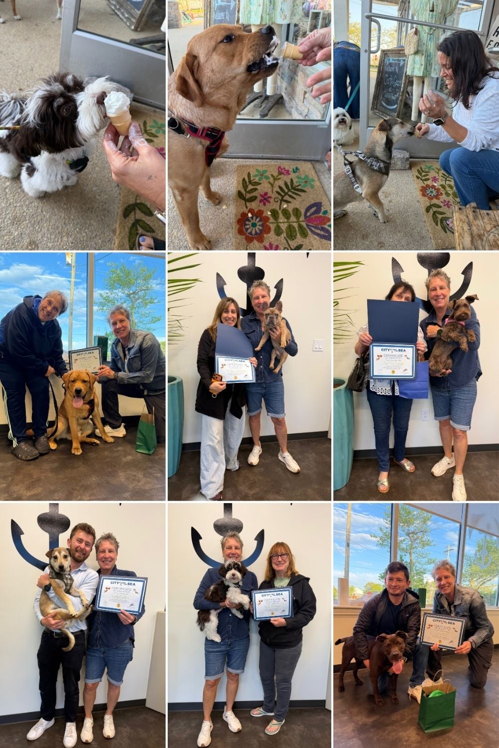 Puppy Socialization Class at City by the Sea Vet in Asbury Park, NJ Puppy Socialization Class at City by the Sea Vet in Asbury Park, NJ