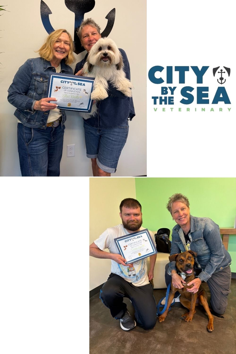 Puppy Socialization Class at City by the Sea Vet in Asbury Park, NJ Puppy Socialization Class at City by the Sea Vet in Asbury Park, NJ