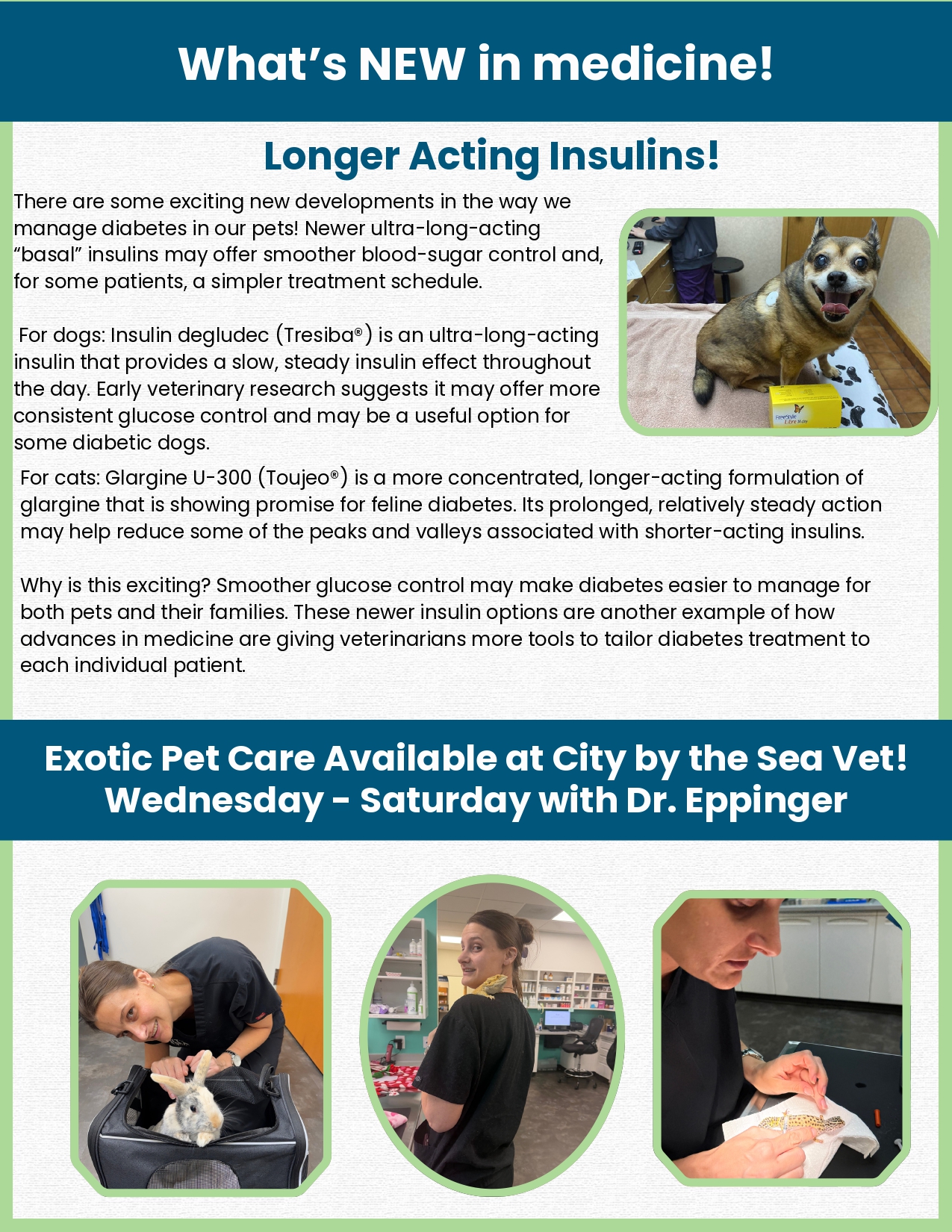 September 2026 Newsletter page 3