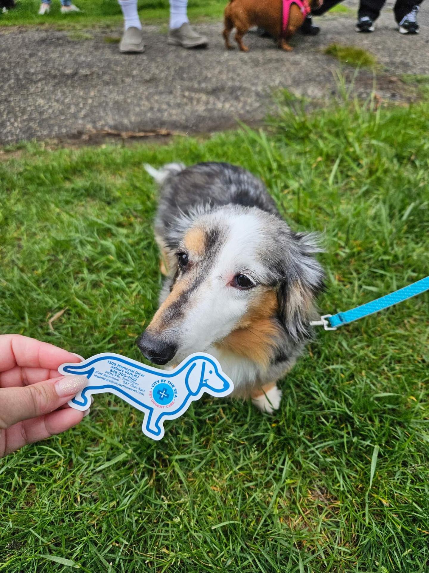 Weiner Walk 2025
