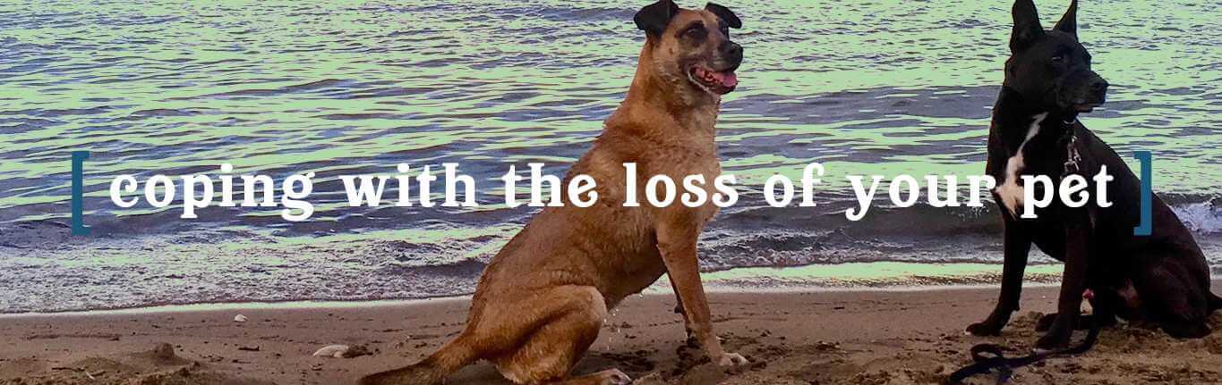 coping-with-pet-loss