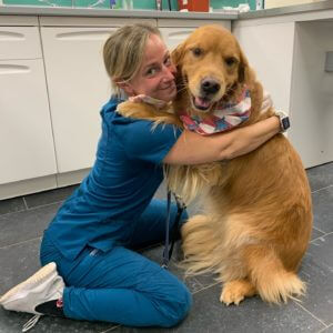 dog-care-by-city-by-the-sea-staff