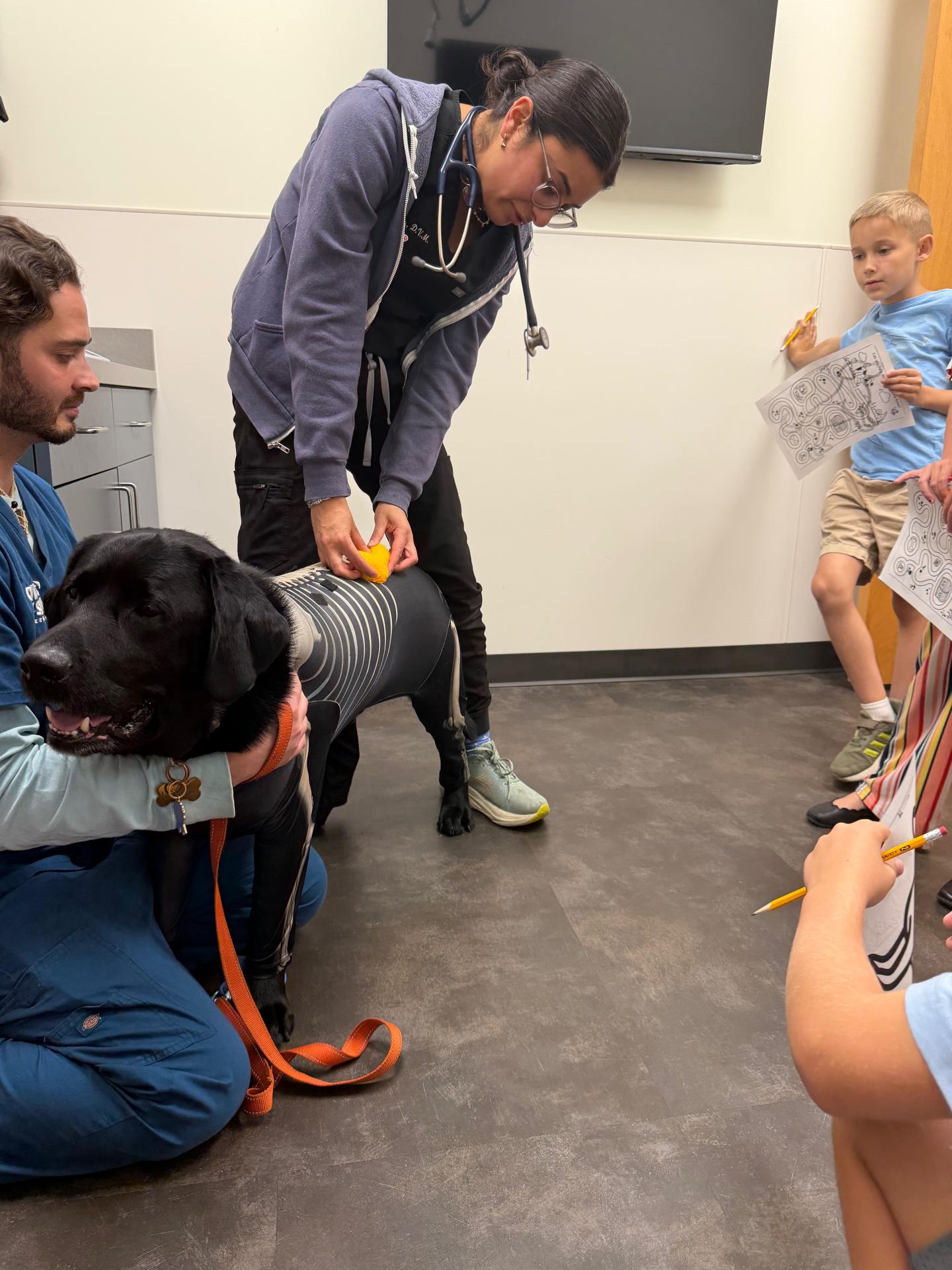 Dog exam at BTS night