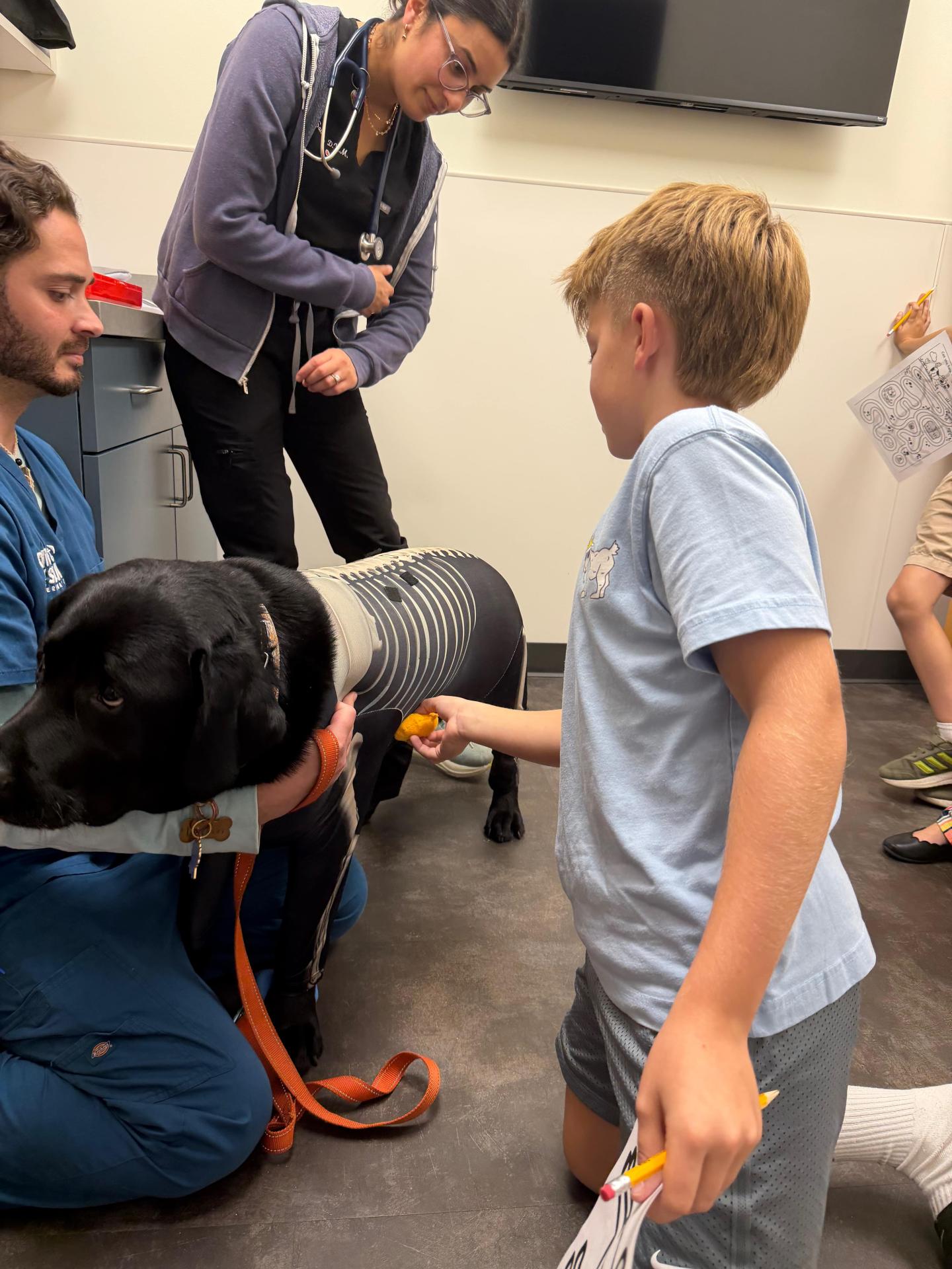 Dog exam at BTS night