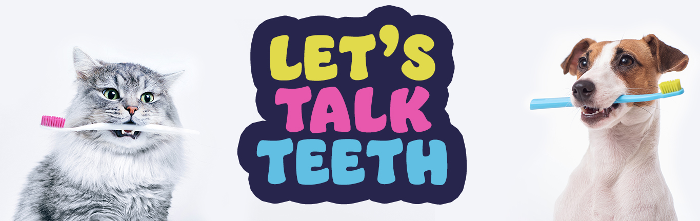 lets-talk-teeth