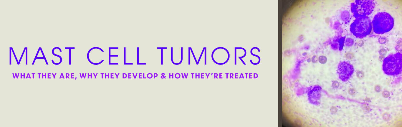 mast-cell-tumors