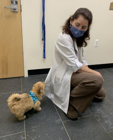 Doctor and puppy