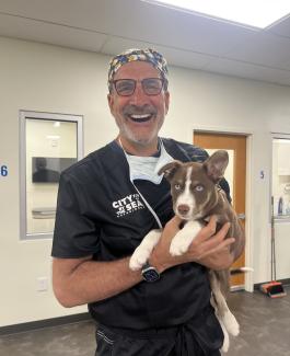 Dr. Stephen Riback, DVM