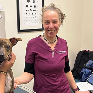 Kimberly Hammer, VMD, DACVIM