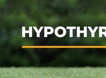 Hypothyroidism In Dogs