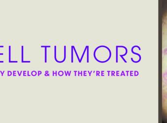 Mast Cell Tumors