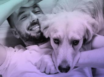 When was the last time you looked in your pet's mouth?