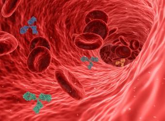 Monoclonal Antibodies Therapeutics - a Breakthrough in Pet Health