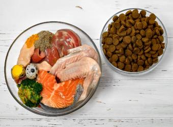 Should I feed my pet a raw diet?