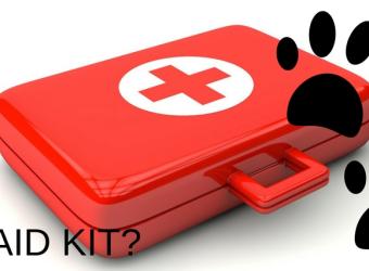 What Goes in Your Pet First Aid Kit?
