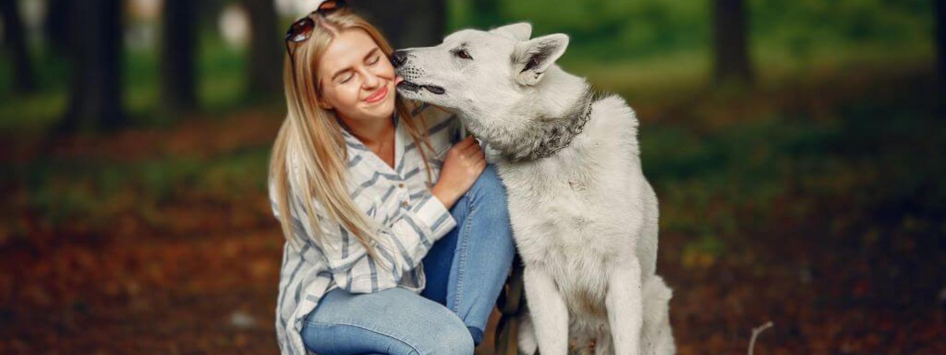 Love Languages of the Animal Kingdom: How Our Furry Friends Show Affection