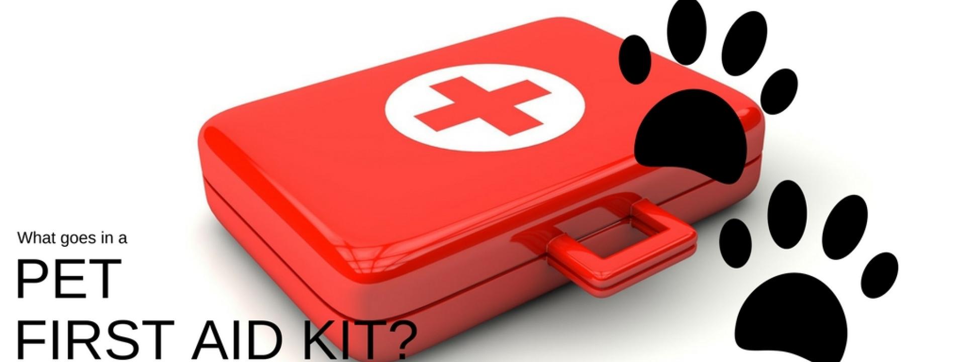 What goes in a pet first aid kit?